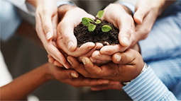 ddos网页在线攻击